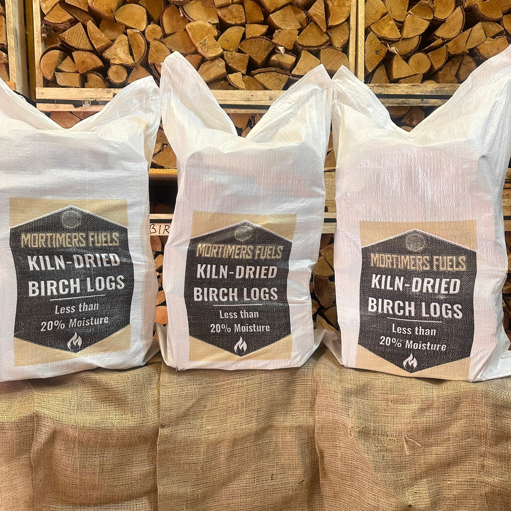 Birch Mega Bundle